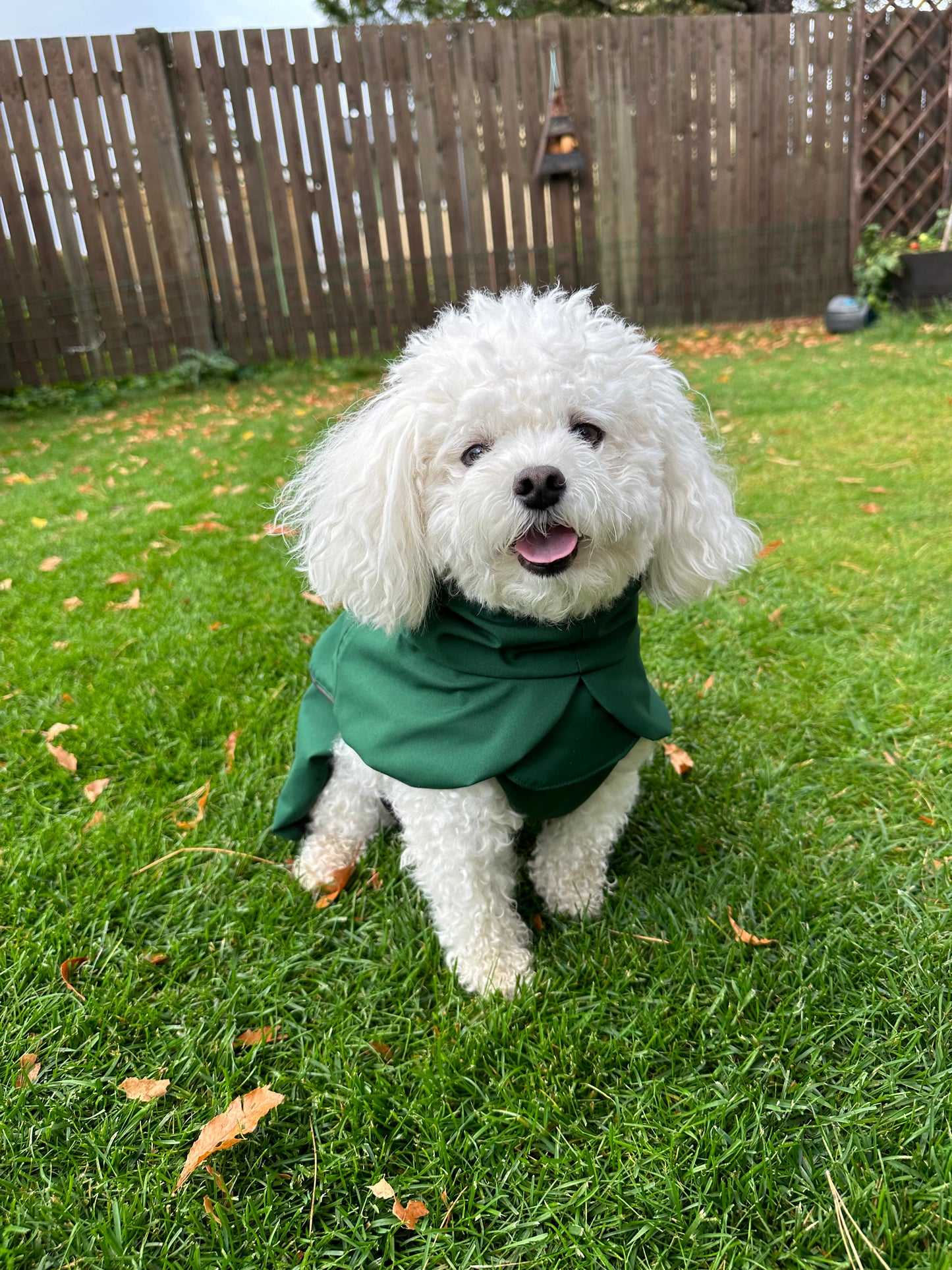 EDA COAT - GREEN
