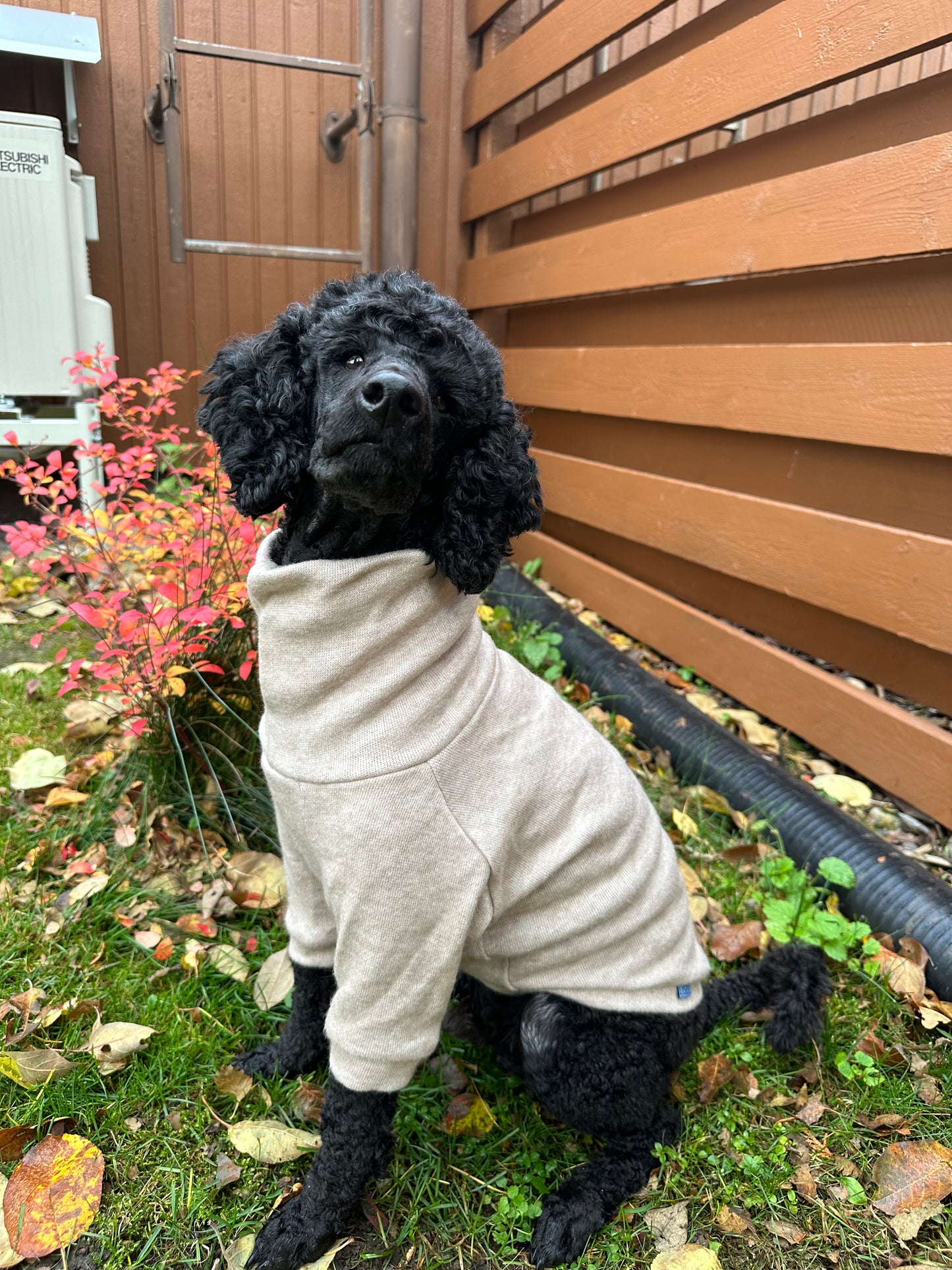 SOFT SWEATER CREAMY BEIGE