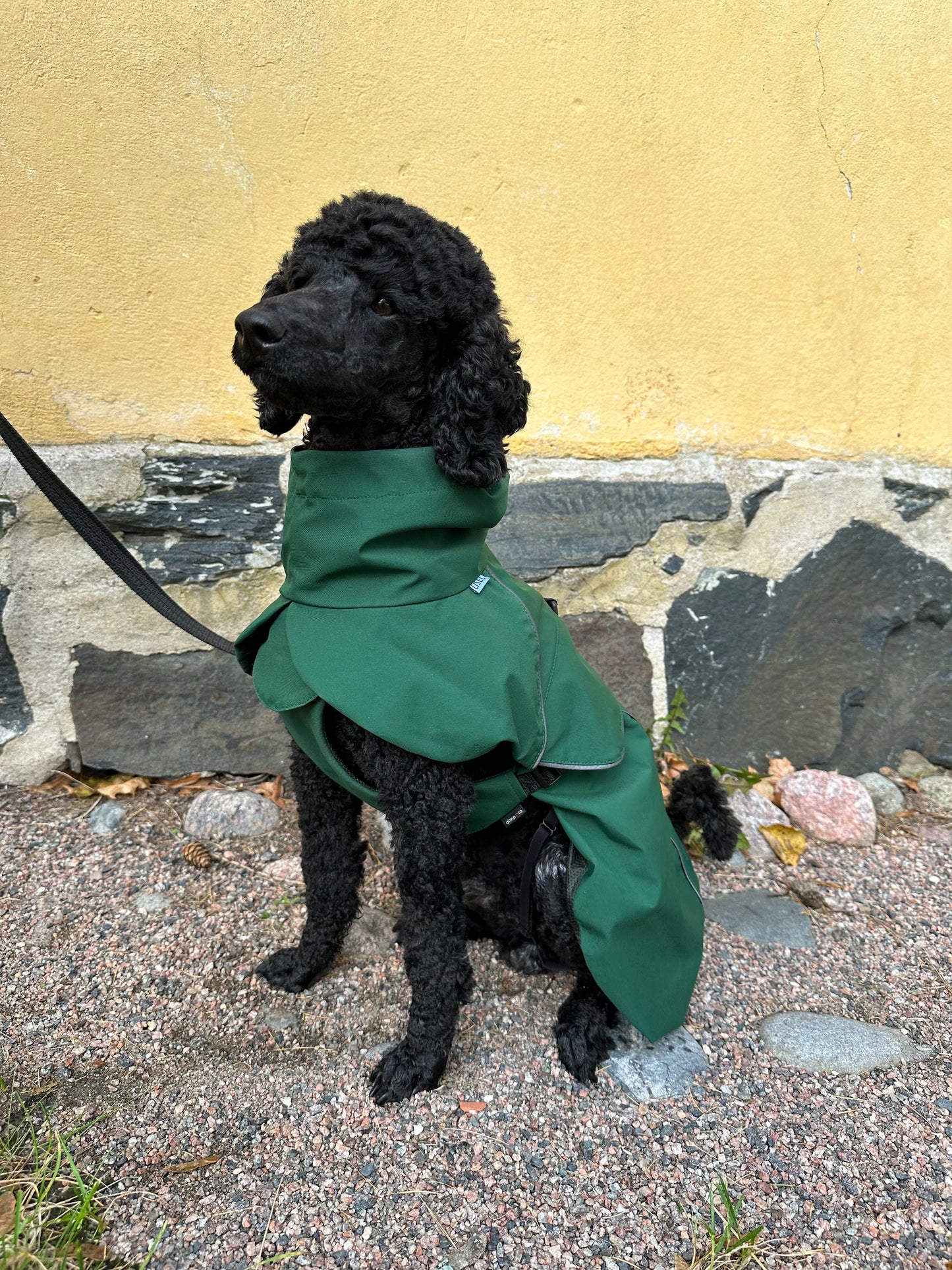 EDA COAT - GREEN