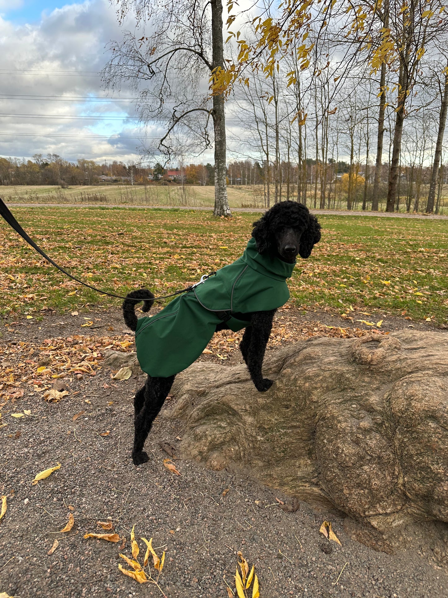 EDA COAT - GREEN