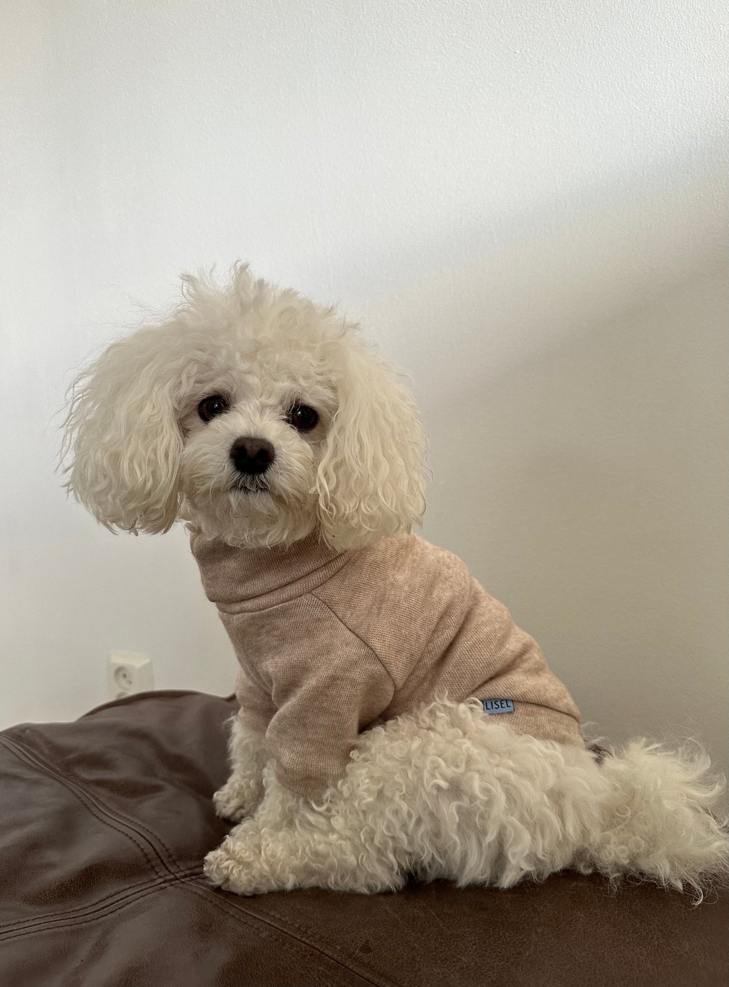 SOFT SWEATER CREAMY BEIGE