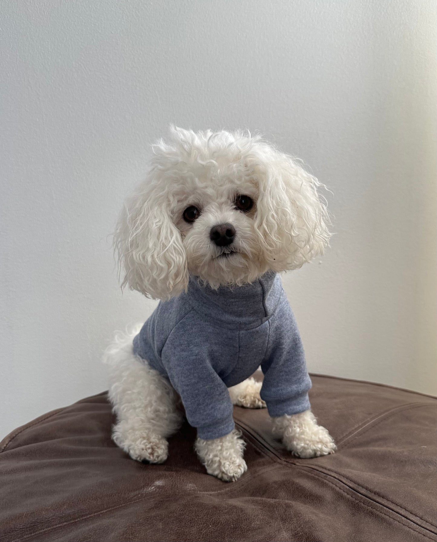 SOFT SWEATER CLOUDY BLUE