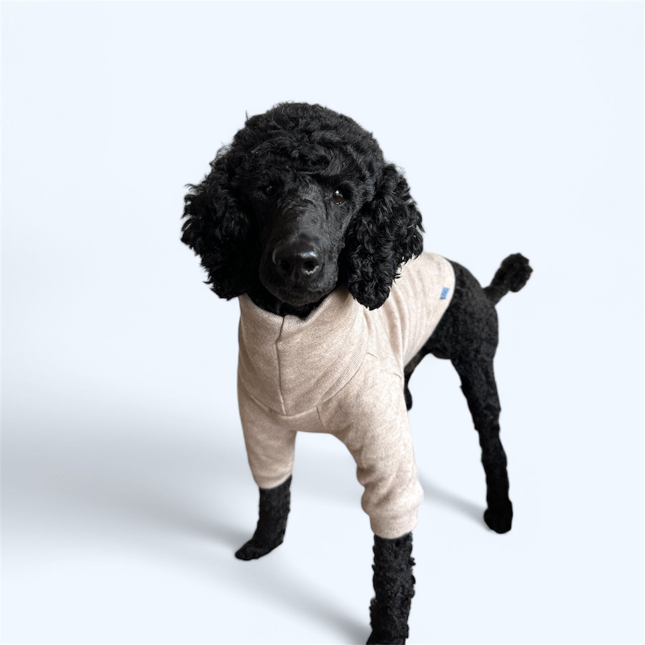 SOFT SWEATER CREAMY BEIGE