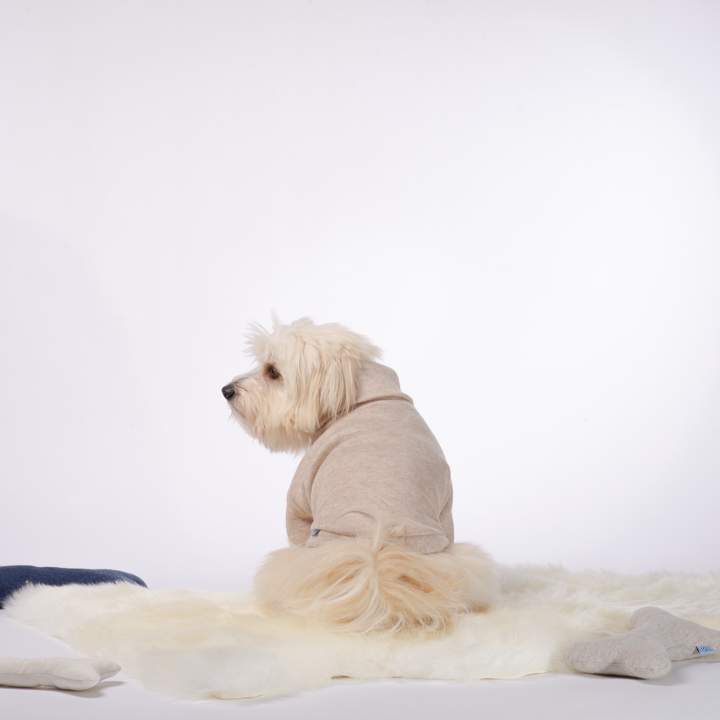 Koirien neule paita, beige takaa
