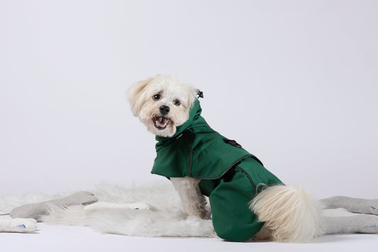 Koirien vastuullisesti valmistettu sadetakki / EDA raincoat for dogs, responsibly manufactured