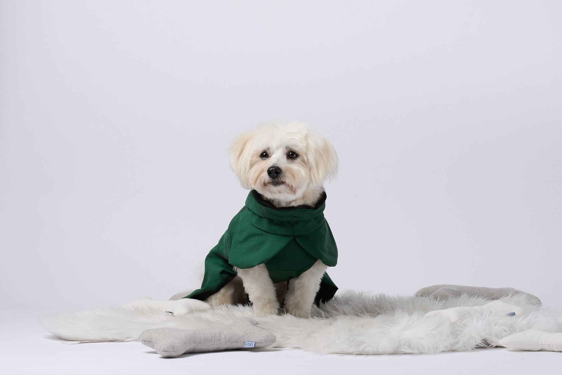 Green rainjacket for dogs! Vihreä sadetakki koirille!