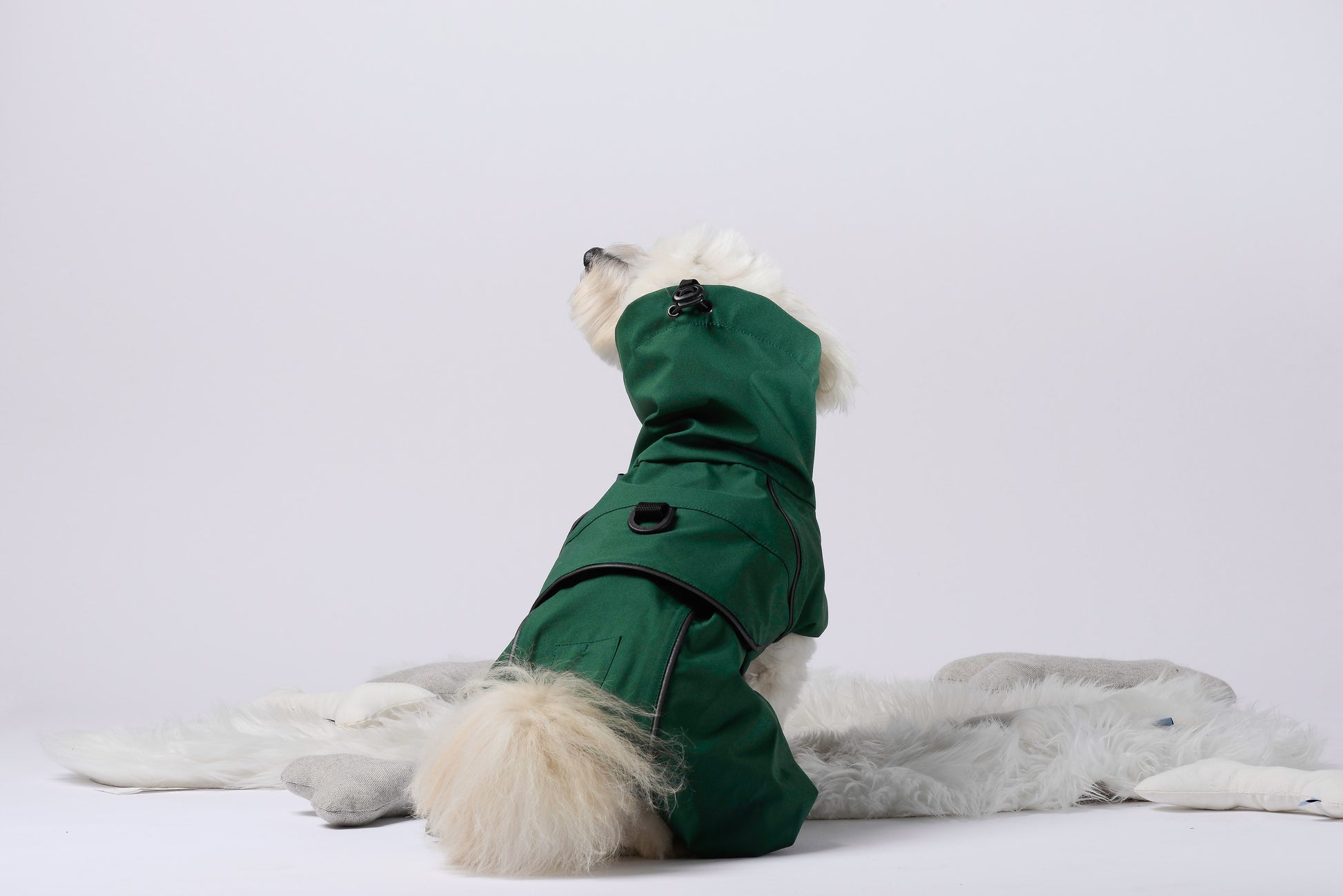 Sustainable rainjacket for dogs! Vastuullisesti valmistettu koirien sadetakki!