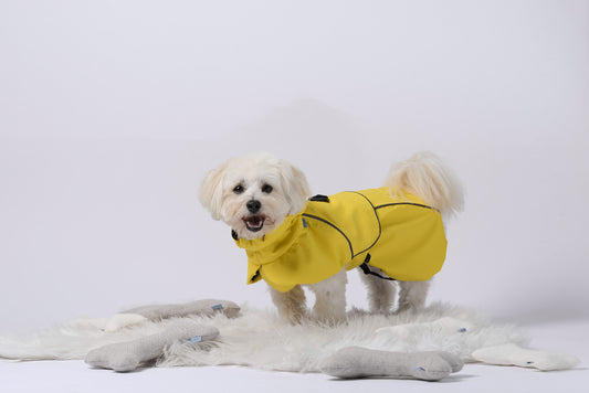 Yellow eda jacket is the perfect sustaibnable dog wear