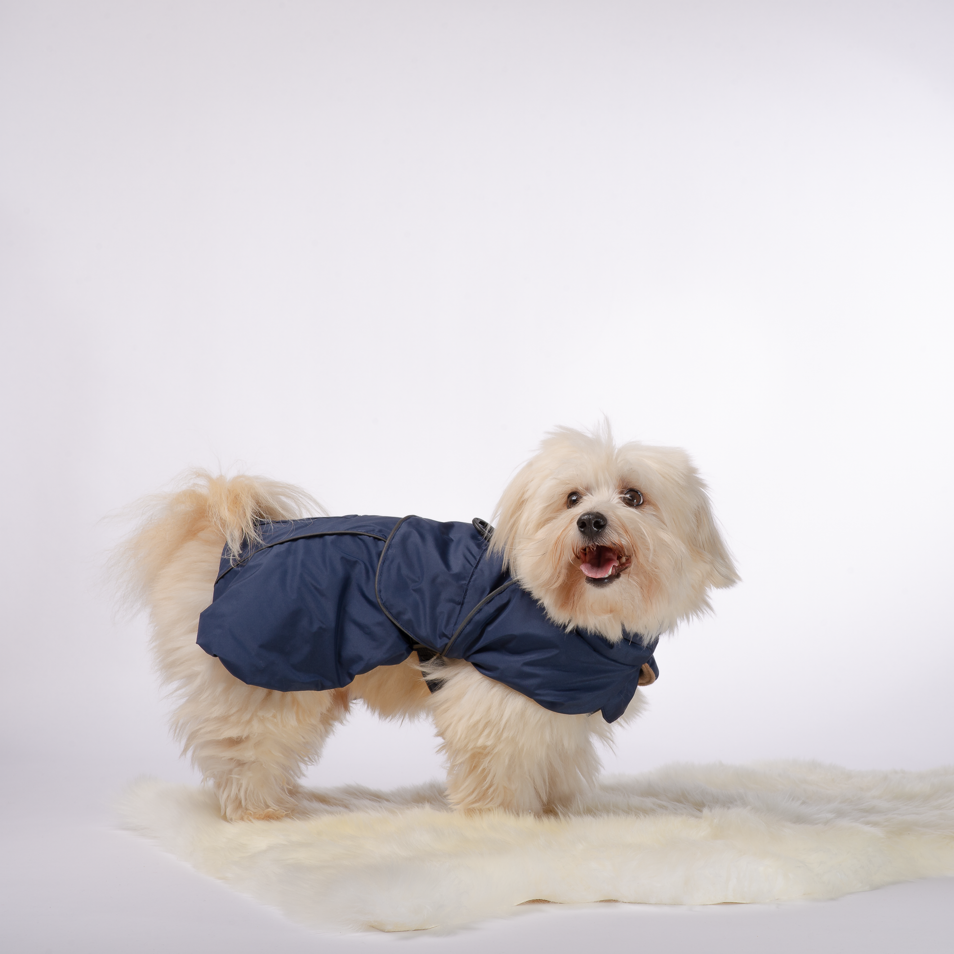 Integroitu valjas takki koirille, sivusta sininen. Harness dog coat, side picture navy blue